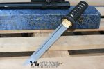 Hand Forged Dragon Samurai Tanto - Folded Carbon Steel Blade
