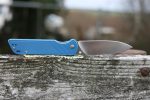 QSP EDC Folding Pocket Knife, 440c Blade, 4" G10 handle, Left and Right Handed Thumb Stub Opening, Smooth Liner Lock with Copper Washes, QSP Parrot (blue) - Image 2