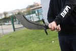 Hand Forged / Hand Made High Carbon Chinese Warrior Sword - SW-1288 - Image 2