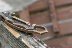 Defcon Knives Raptor Karambit Flipper 2.83" S35VN Satin Hawkbill Blade, Stonewashed Bronze Titanium Handles w/ Marbled Carbon Fiber Inserts - TF5221-2 - Image 10