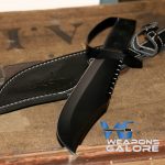 D-Guard Heavy Duty Full Tang Black Bowie Knife with Pakkawood Handle - Image 4