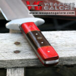 Akira Forge Hand – Made Arkansas Toothpick – 0034578 - Image 5